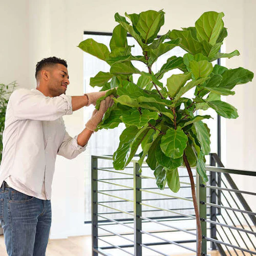 Mega Menu Banner7546