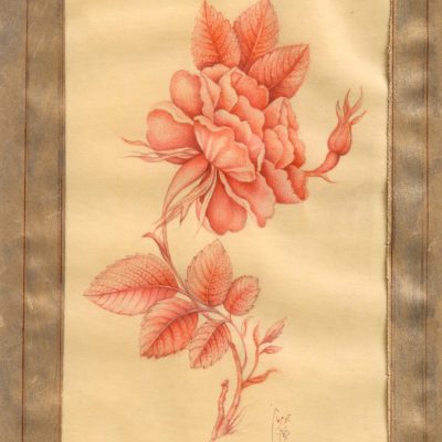 Miniature Painting on Paper (Red Rose) – Code 1030220